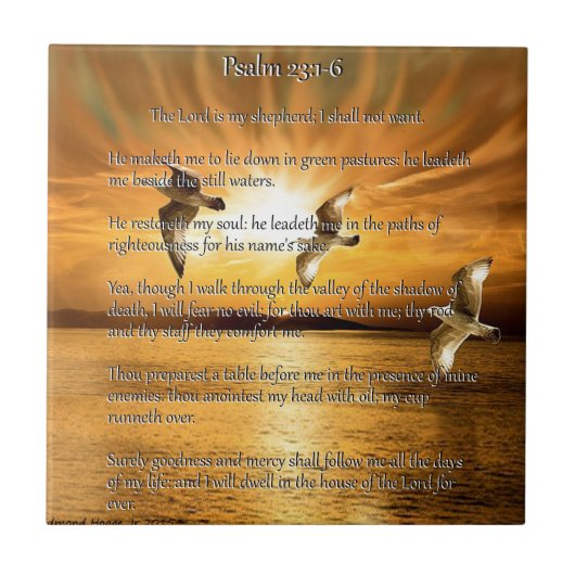 Carreau 23:1 de psaume - 6 le seigneur Is My Shepard (Devant)