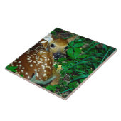 CARREAU 24114390 (Côté)