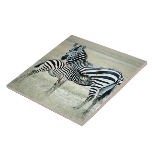 CARREAU 24114480 (Côté)