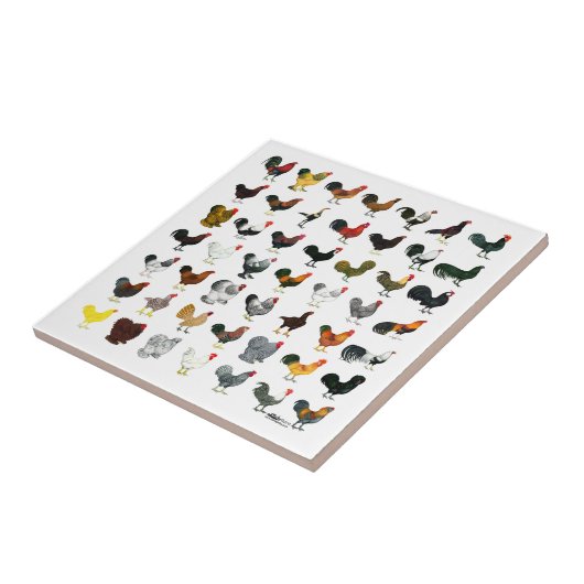 Carreau 49 coqs (Côté)