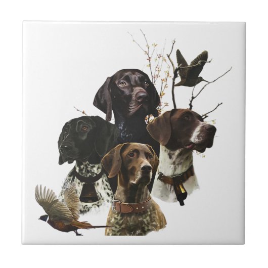 Carreau 4 Couleurs de pointeur germanophones (Devant)