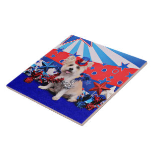 Carreau 4 juillet - Westie X - Madame