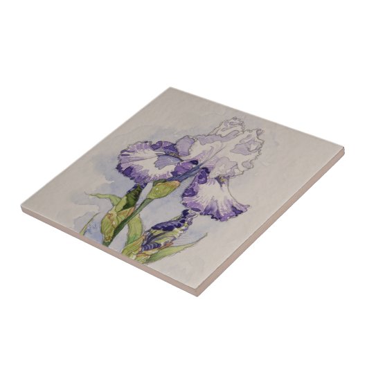 Carreau 5327 Iris violets et blancs (Côté)