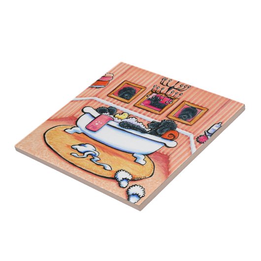 Carreau 5 minutes de plus (Côté)