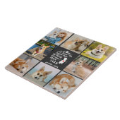 Carreau 8 Photo Collage Animaux de compagnie Chien Perte S (Côté)