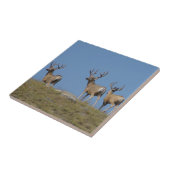 Carreau 9 cerfs Mule en velours (Côté)