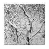 Carreau à la maison dans la neige (Devant)