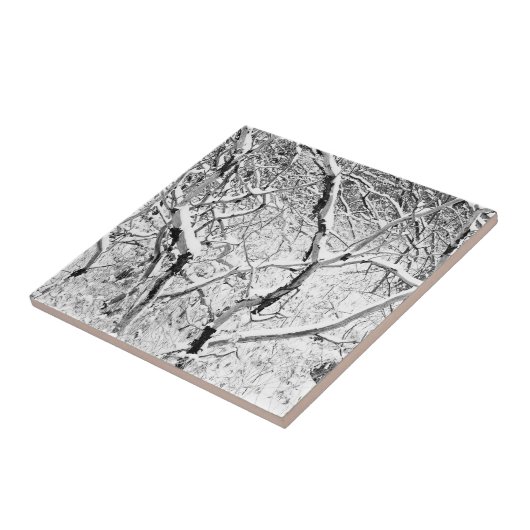 Carreau à la maison dans la neige (Côté)