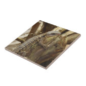 Carreau À l'est lézard ceint tropical Épineux-Coupé la (Côté)