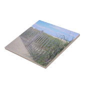 Carreau A Pied De La Plage (Côté)