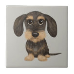 Carreau À poils durs Dachshund | Teckel de chien de carica<br><div class="desc">Sanglier à poils durs et Teckel couleur bronze. Visitez Jenn's Doodle World pour encore plus d'accessoires pour la maison et le bureau avec ce Dachshund amusant et des modèles plus originaux pour chiens édulcorés.</div>