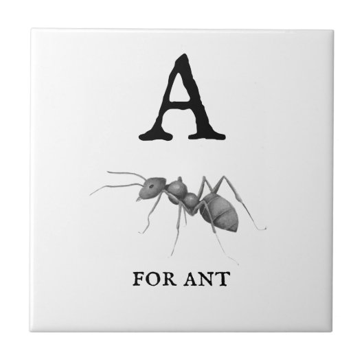Carreau "A" pour Ant (Devant)