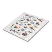 Carreau A-Z des animaux extraordinaires (Côté)