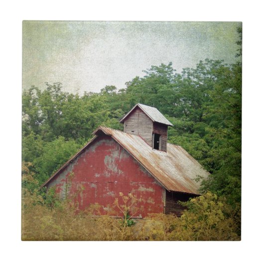 Carreau Abandonné et surcultivé (Devant)