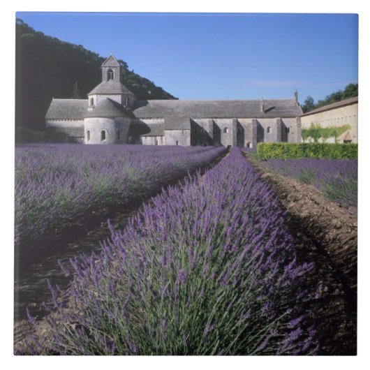 Carreau Abbaye de Senanque, Gordes, Vaucluse, Provence, (Devant)