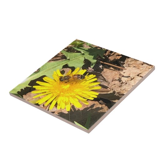 Carreau Abee (Côté)