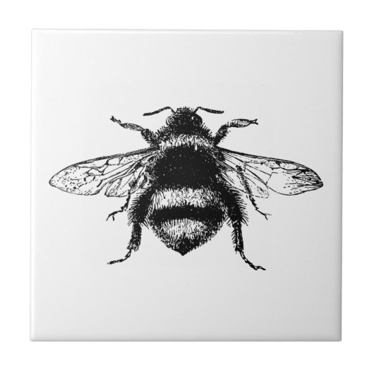 Carreau Abeille bourdon vintage (Devant)