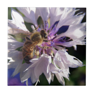 Carreau Abeille et fleurs bleues