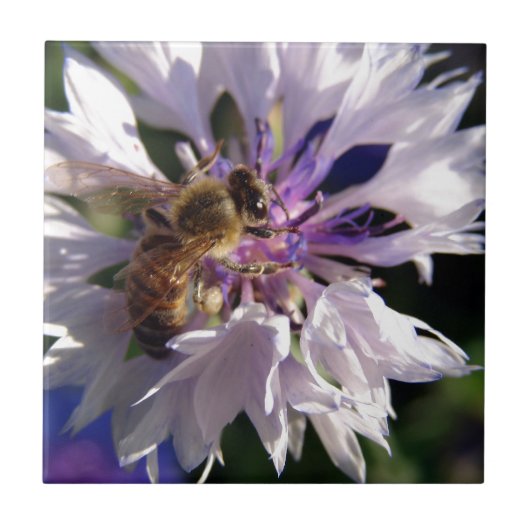 Carreau Abeille et fleurs bleues (Devant)
