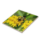 Carreau Abeille se régalant de fleurs sauvages d'Asclépiad (Côté)