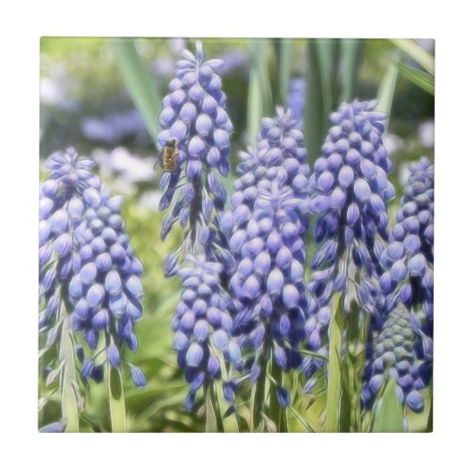 Carreau Abeille sur des fleurs de Muscari (Devant)