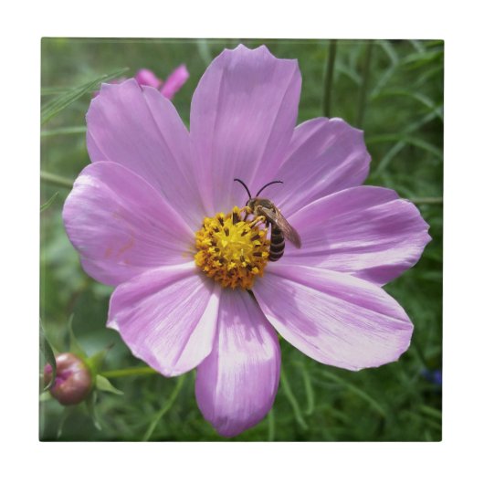 Carreau abeille sur fleur (Devant)