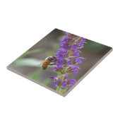 Carreau Abeille sur Salvia (Côté)