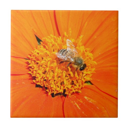 Carreau abeille sur tuile orange (Devant)