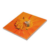 Carreau abeille sur tuile orange (Côté)