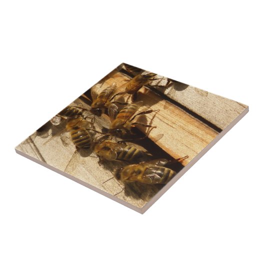 Carreau Abeilles de miel (Côté)