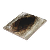 Carreau Abeilles de miel sauvage dans un arbre creux (Côté)