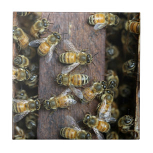 Carreau Abeilles occupées à la ruche