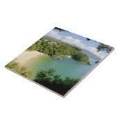 Carreau Able Tasman NP, Nelson, Nouvelle-Zélande. Les nomb (Côté)