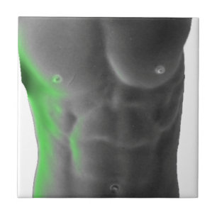 Carreau Abs