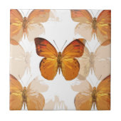 Carreau Absolument (Devant)