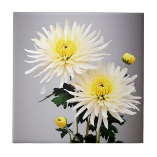 Carreau Abstrait de chrysanthème gras