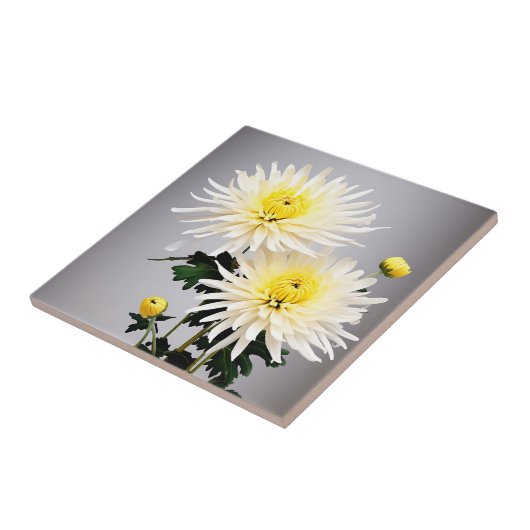 Carreau Abstrait de chrysanthème gras (Côté)