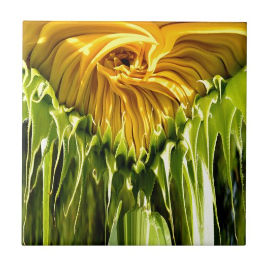 Carreau Abstrait tournesol rétro funky, géométrie effrayée (Devant)