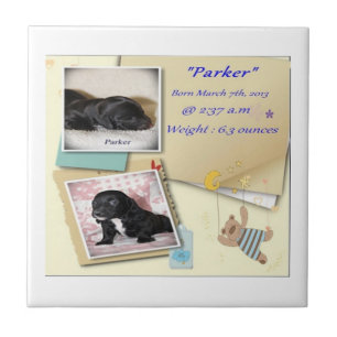 Carreau Acte de naissance de Parkers