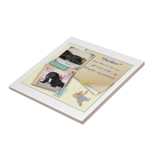 Carreau Acte de naissance de Parkers (Côté)