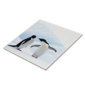 Carreau Adelie Penguins (Côté)