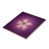 Carreau Adénium Fleur Rose Flore Dégradé Violet (Côté)
