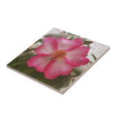 Carreau Adenium rose fleurs blanches fleurs florales natur (Côté)