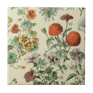 Carreau Adolph Millot Botanical Floral Détail 3