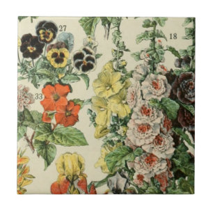 Carreau Adolph Millot Détails de la flore botanique