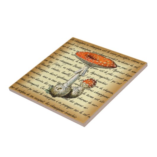 Carreau Adolphe Millot ~ Champignons-pour tous fixes ~  (Côté)