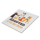 Carreau Adopté est la meilleure race : Secourt de chien re (Côté)