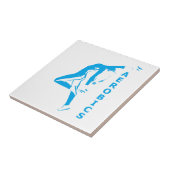 Carreau Aérobic (Côté)