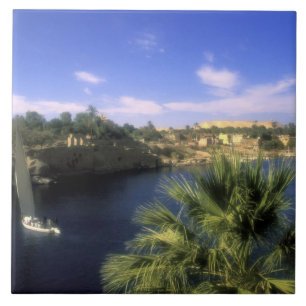 Carreau AF, Égypte, Haute-Égypte, Assouan. Nil,