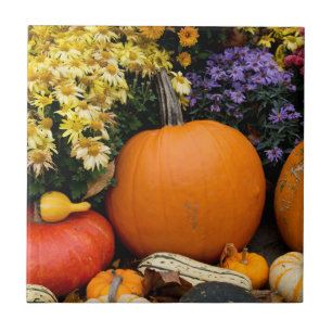 Carreau Affichage coloré de citrouilles décoratives d'auto